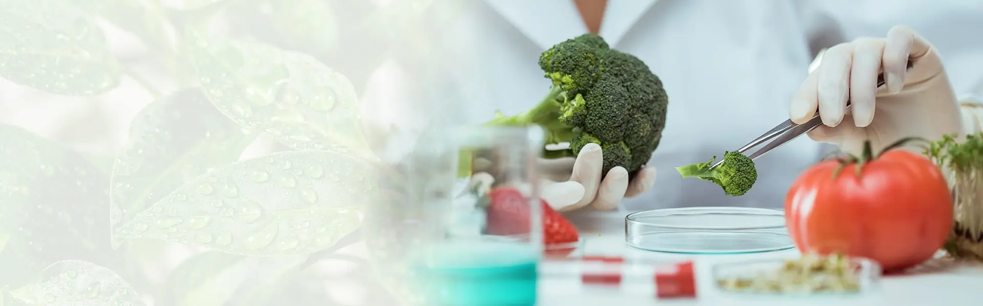 Hamilton Lab - Misszió