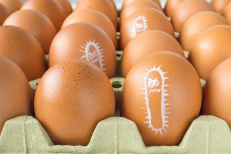 Azt hittük, csak húsban és tojásban lehet szalmonella? Most más élelmiszerben is találtak!